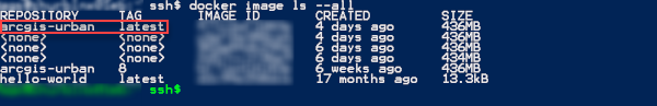 Example output of the docker console check. Example output of the docker console check.