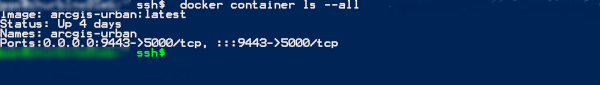 Example output of the docker console check. Example output of the docker console check.